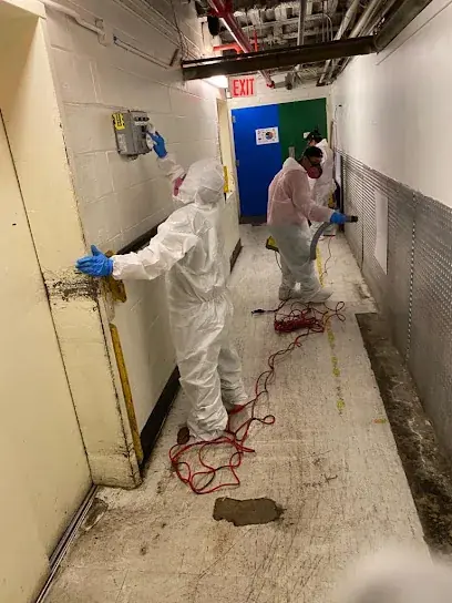 Restoration technician working in a Brooklyn building hallway