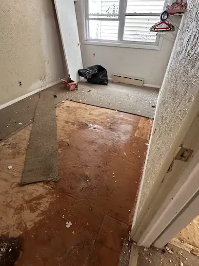 Water damaged flooring cleared in a Brooklyn room