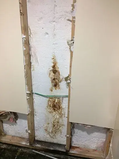 Water damage from a burst pipe inside a Brooklyn wall