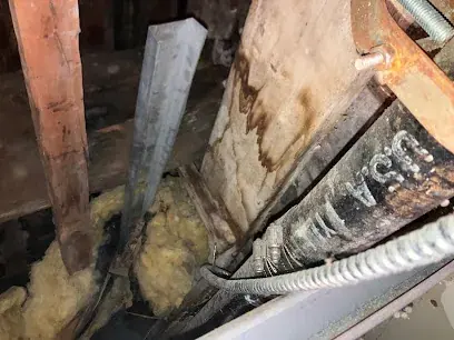 Water damage from a frozen pipe behind a Brooklyn wall